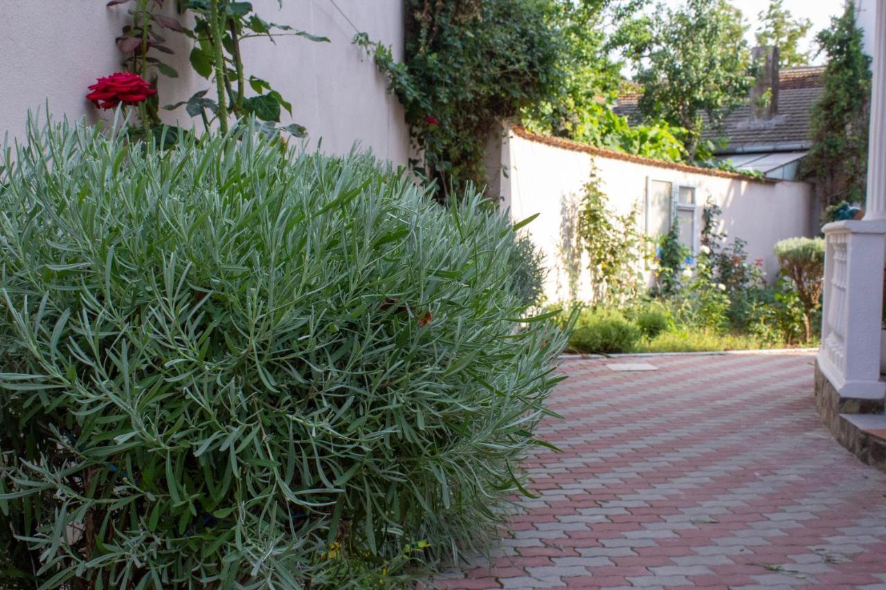 Yox Apartment 1 Oradea Bagian luar foto